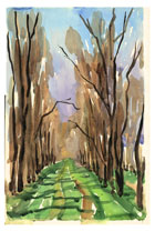 מבנים מגורים