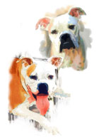 מבנים מגורים